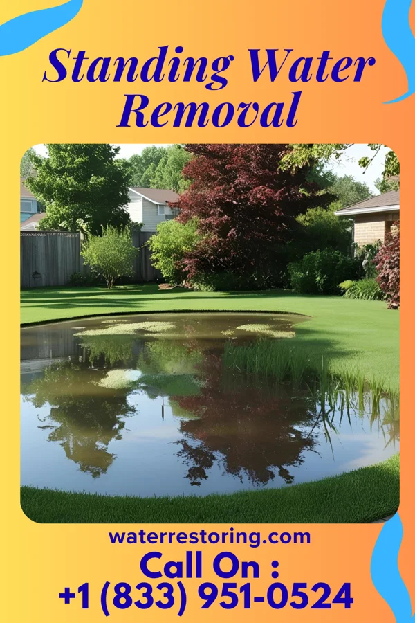 Standing Water Removal in St. James, MO